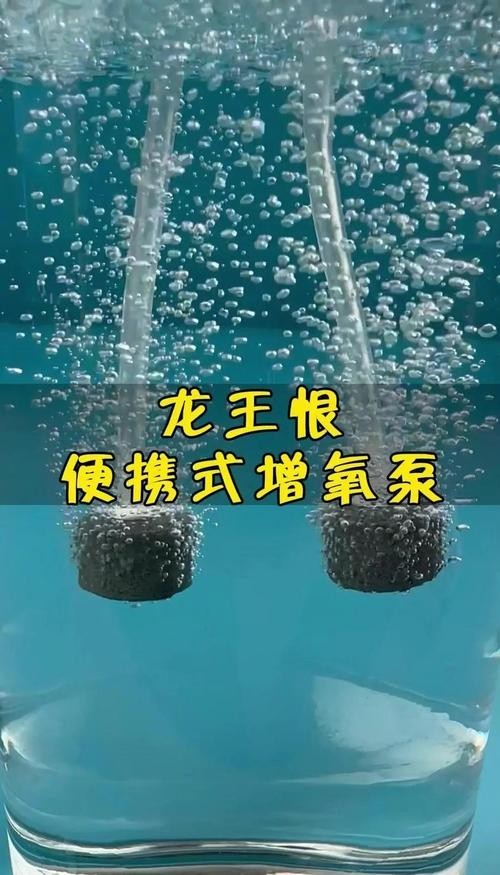 龍魚浮水面游來游去