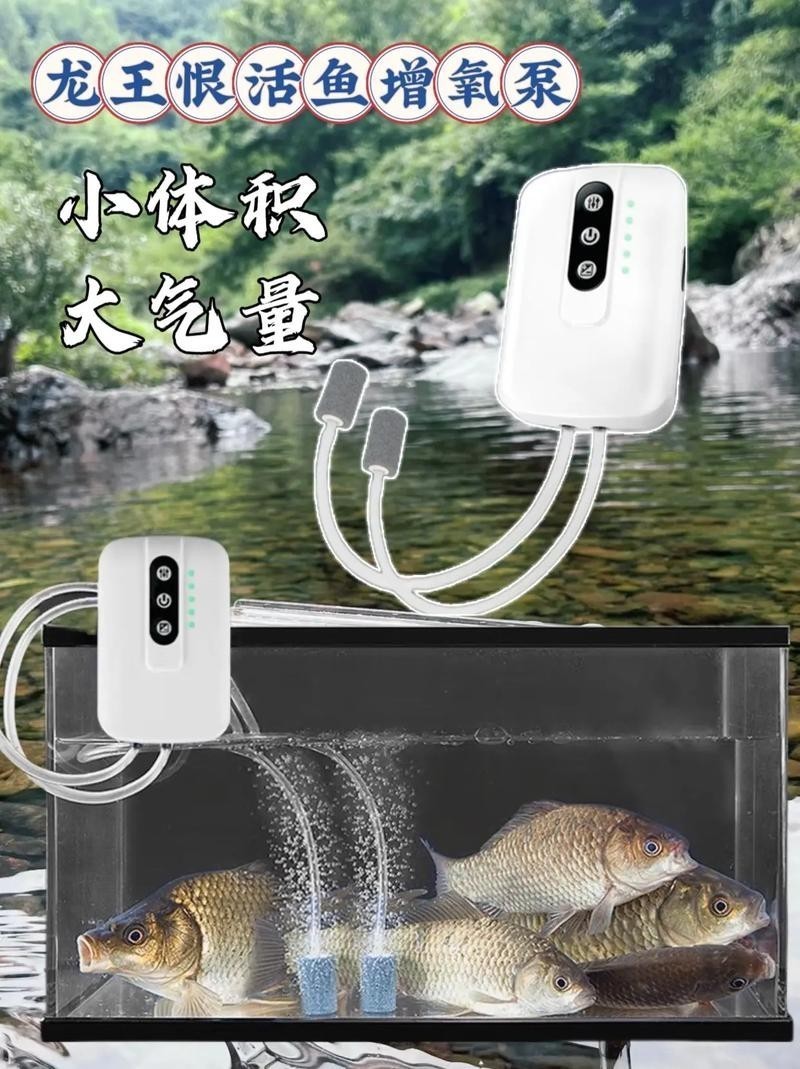 龍魚浮水面游來游去