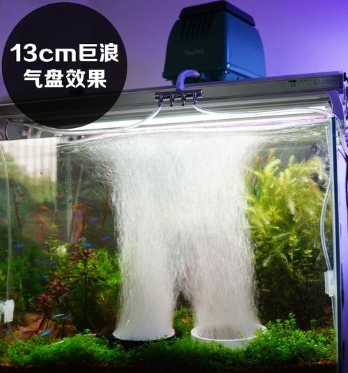 龍魚浮水面游來游去