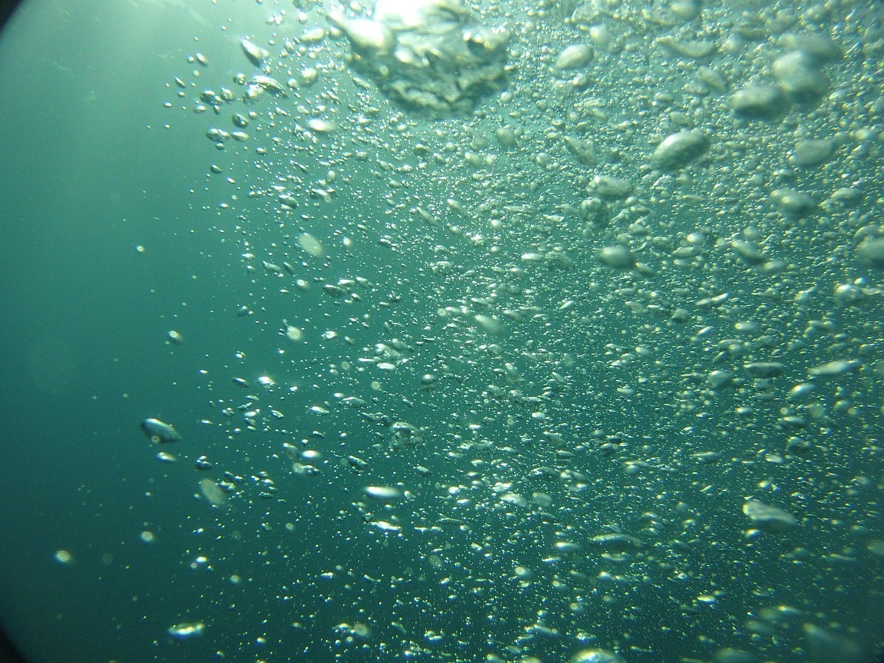 潛水艇魚需要打氧氣嗎