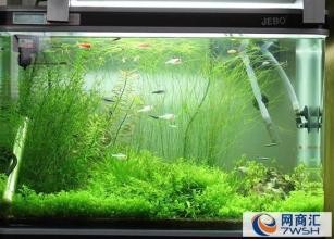 清遠市清城區新城起航商行（清遠市清城區新城起航商行電話）