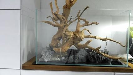 洪洞縣城恒富路森森格池水族（洪洞生態園飯店）
