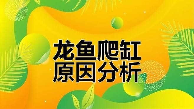 龍魚趴缸甩頭怎么回事