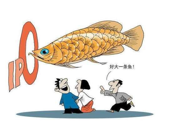 綿陽(yáng)市<strong><mark>游仙</mark></strong>區(qū)林林水族經(jīng)營(yíng)部（綿陽(yáng)市<strong><mark>游仙</mark></strong>區(qū)林林水族經(jīng)營(yíng)部地址）