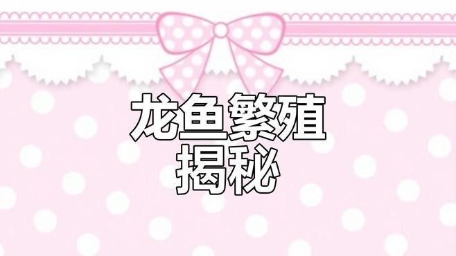 龍魚魚缸繁殖