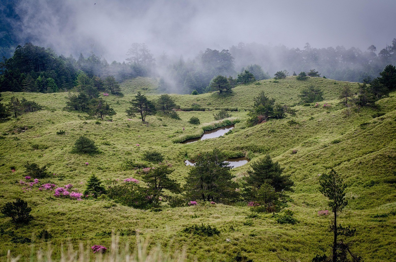 福建山水蒙旅游開發(fā)有限公司（山水 蒙）