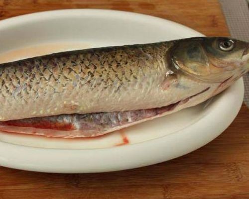 依華萊斯（EVNICE）魚缸