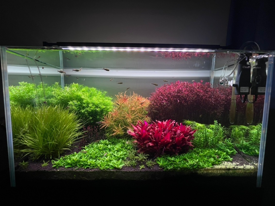 興山縣古夫鎮(zhèn)懌榮水族館（興山縣古夫鎮(zhèn)懌榮水族館電話）