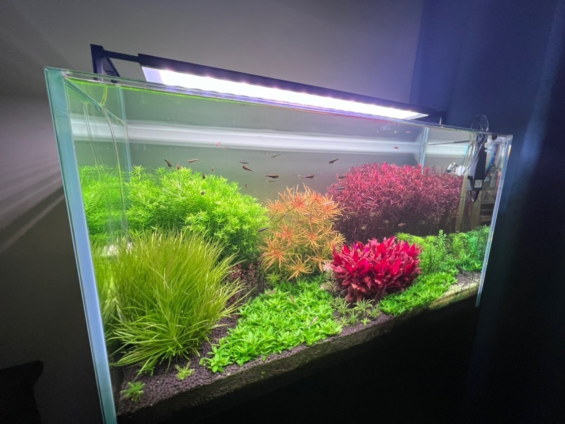 興山縣古夫鎮(zhèn)懌榮水族館（興山縣古夫鎮(zhèn)懌榮水族館電話）