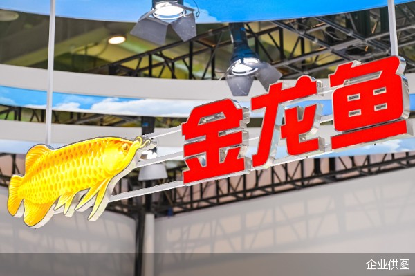 羅莊區劉洪法水族館（羅莊區劉洪法水族館地址）