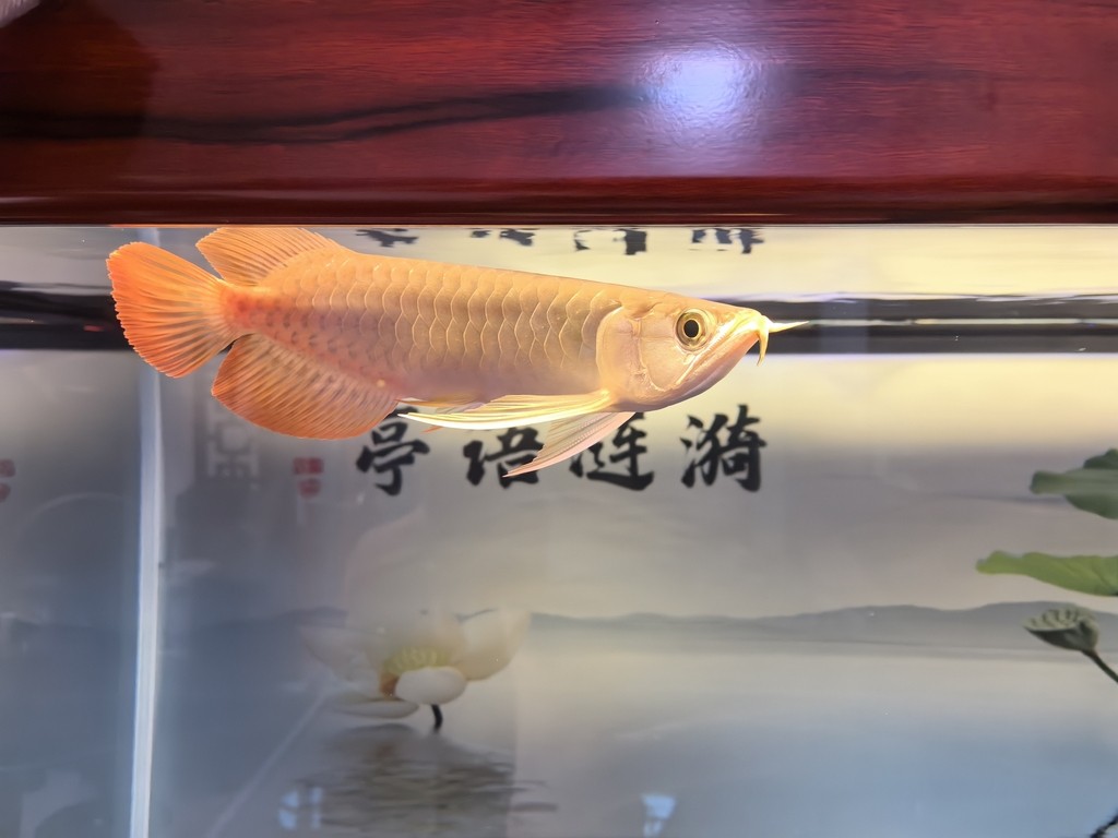 滿一年了