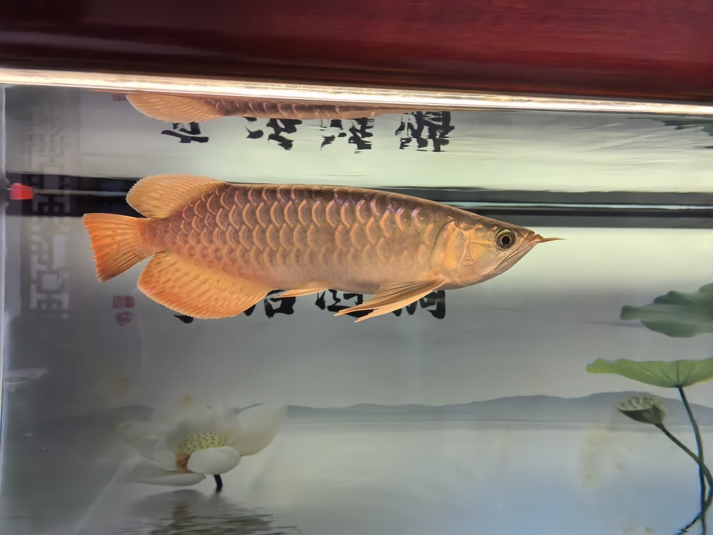 滿一年了