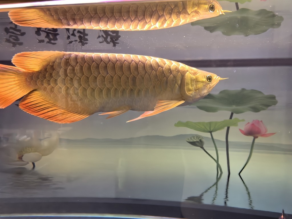 滿一年了