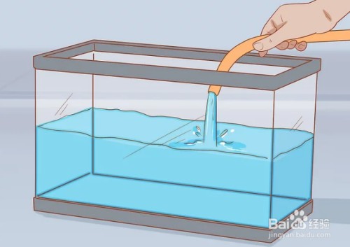 內江市中區睿美七秒水族店
