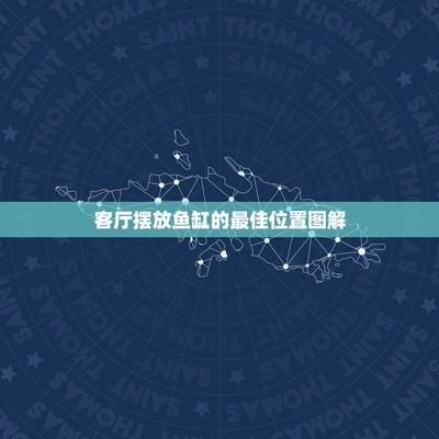魚缸的水為什么新換的就混了一層（如何快速建立魚缸硝化系統？）