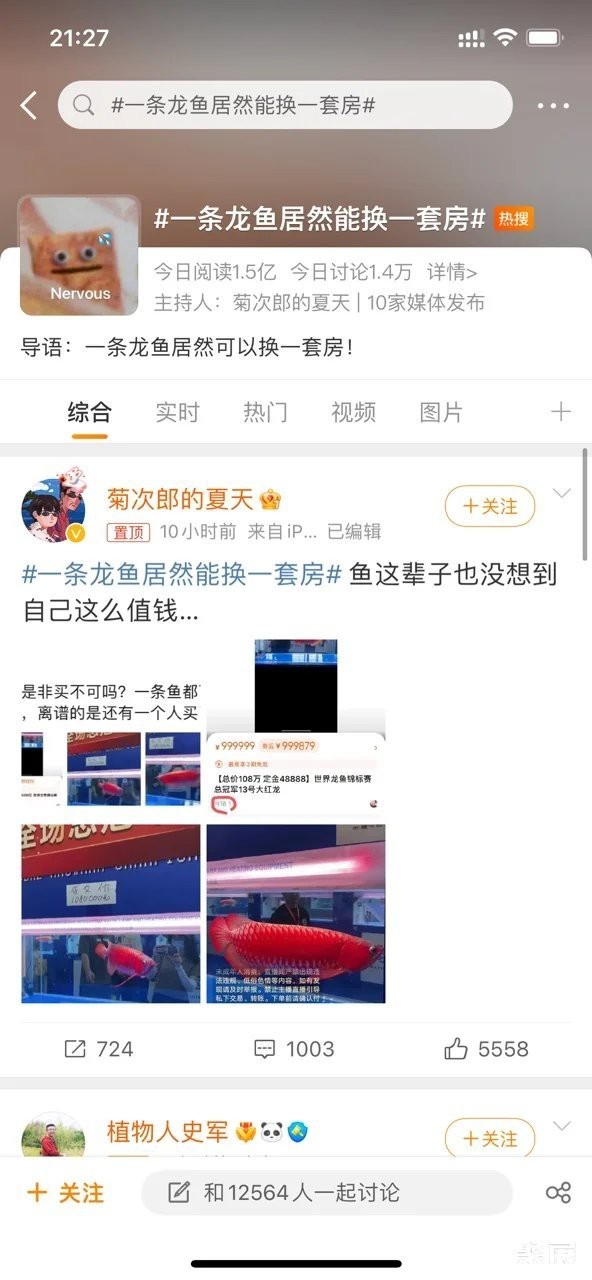 紅龍魚拍賣會一般在哪里舉辦？