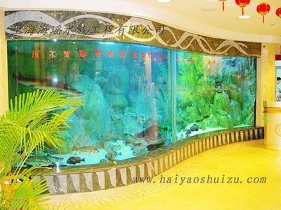 觀賞魚缸的設(shè)計美學(xué)：蘇州觀賞魚缸生產(chǎn)廠家