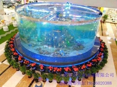 觀賞魚缸的設(shè)計美學(xué)：蘇州觀賞魚缸生產(chǎn)廠家