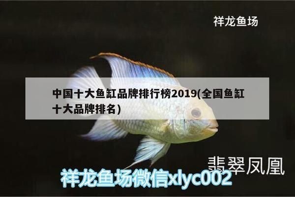 全國(guó)魚(yú)缸排行榜：全國(guó)水族箱品牌排名