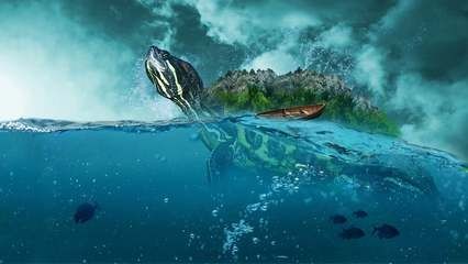 銀龍魚光照周期設置：關于銀龍魚光照周期設置的詳細信息