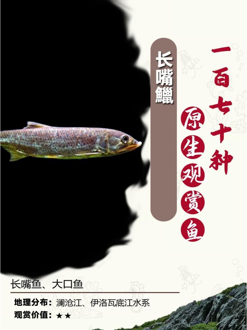 海洋細菌感染的治療費用大概是多少，海洋細菌感染的治療費用