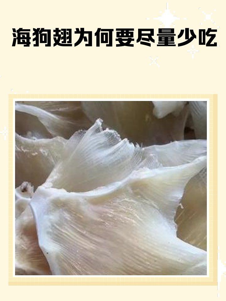 狗仔翅是什么魚