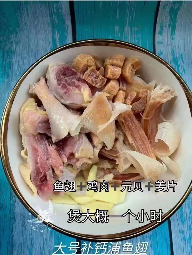 狗仔翅是什么魚