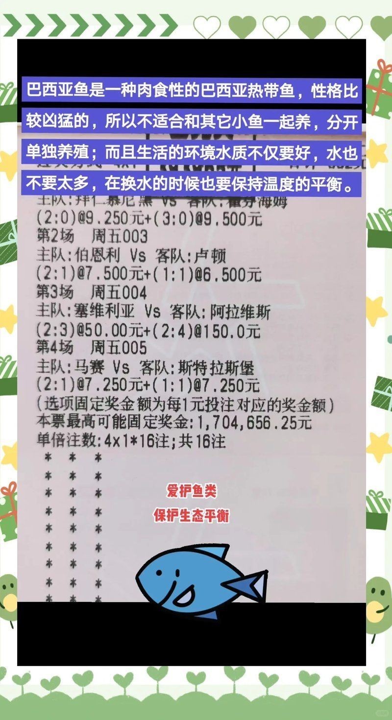 虎魚和巴西亞能混養嗎