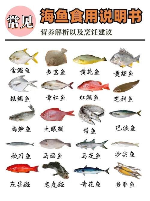 海魚種類圖片大全大圖