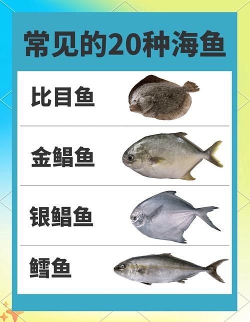 海魚種類圖片大全大圖