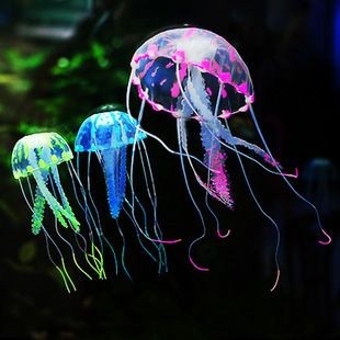 金龍魚幼魚缸內(nèi)裝飾品推薦：關(guān)于金龍魚幼魚缸內(nèi)的裝飾