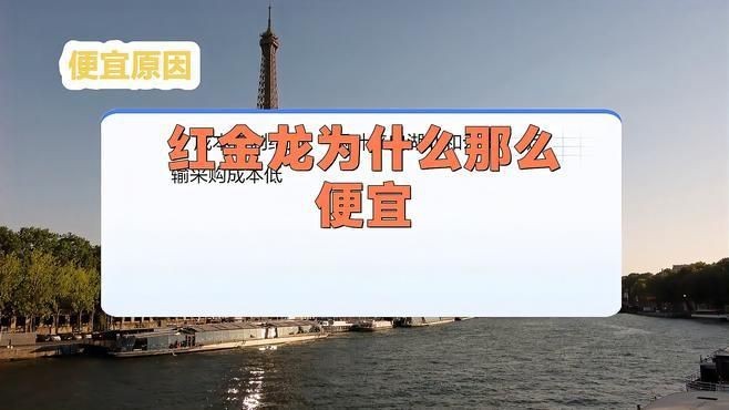 紅金龍煙哪個好賣