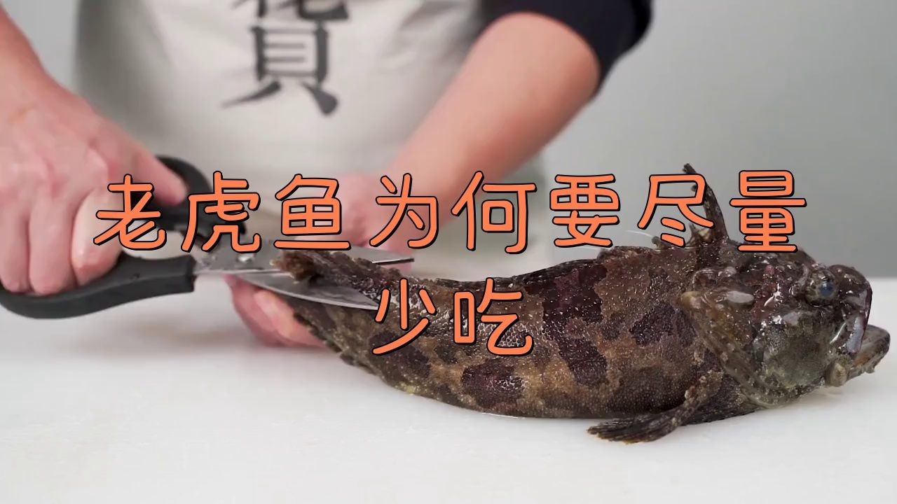 虎魚盡量少吃的原因