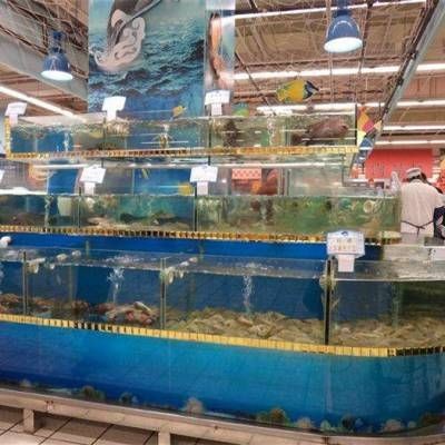森森集團的創新之路：全球水族產業格局全球水族產業是如何分布的？