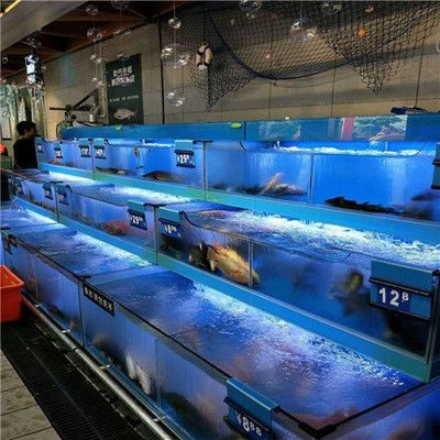 森森集團的創新之路：全球水族產業格局全球水族產業是如何分布的？