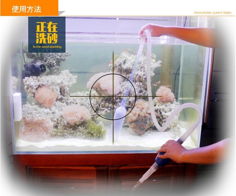 觀海水族魚缸的養護秘籍：海水魚缸的養護技巧
