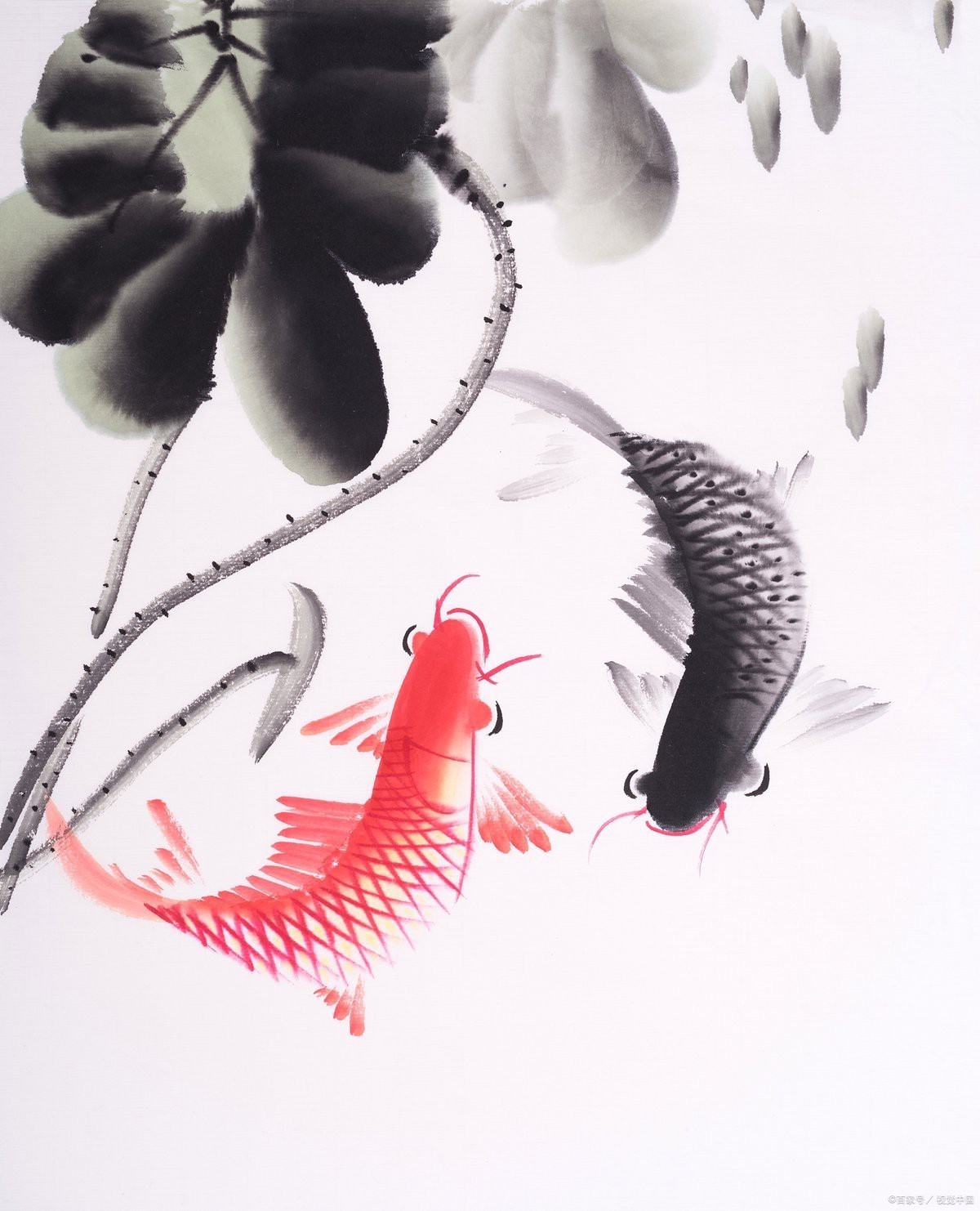 魚最有禪意的詩句 魚最有禪意的詩句 龍魚論壇 第4張