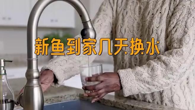 紅龍魚入缸后多久可以換水