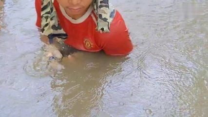 龍魚下崽的征兆是什么：龍魚下崽前的征兆是什么龍魚下崽前的征兆是什么
