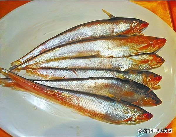 刀板魚學名是什么