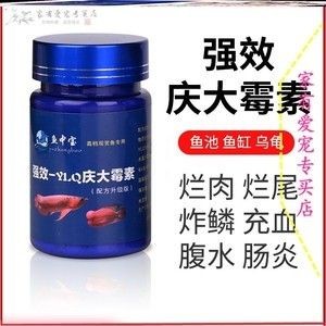 觀賞魚爛尾爛鰭爛鱗用土霉素放魚缸可以嗎（觀賞魚出現爛尾、爛鰭、爛鱗等癥狀怎么辦） 觀賞魚爛尾爛鰭爛鱗用土霉素放魚缸可以嗎（觀賞魚出現爛尾、爛鰭、爛鱗等癥狀怎么辦） 魚缸百科 第3張