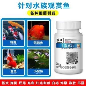 觀賞魚爛尾爛鰭爛鱗用土霉素放魚缸可以嗎（觀賞魚出現爛尾、爛鰭、爛鱗等癥狀怎么辦） 觀賞魚爛尾爛鰭爛鱗用土霉素放魚缸可以嗎（觀賞魚出現爛尾、爛鰭、爛鱗等癥狀怎么辦） 魚缸百科 第4張