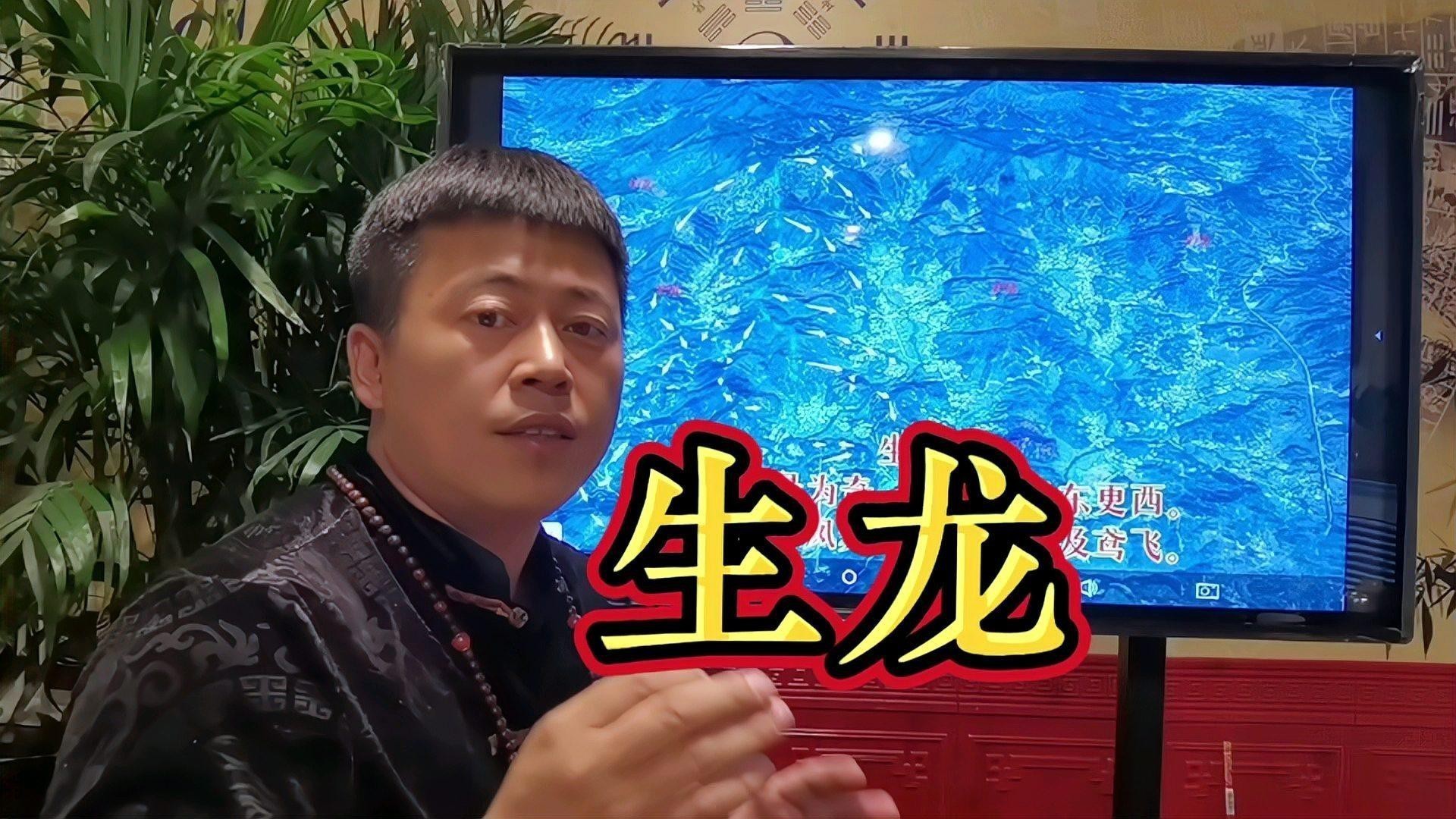 能詳細(xì)解析一下生龍的特征嗎？