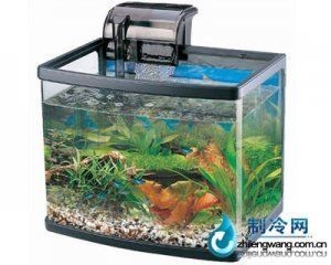 佳寶魚缸型號(hào)及價(jià)格表：佳寶魚缸價(jià)格對(duì)比分析佳寶魚缸配件購買指南