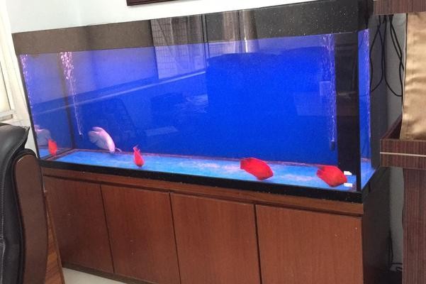 水鴨缸為什么那么貴