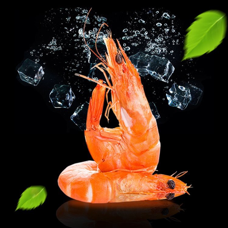 龍魚飼料價格范圍