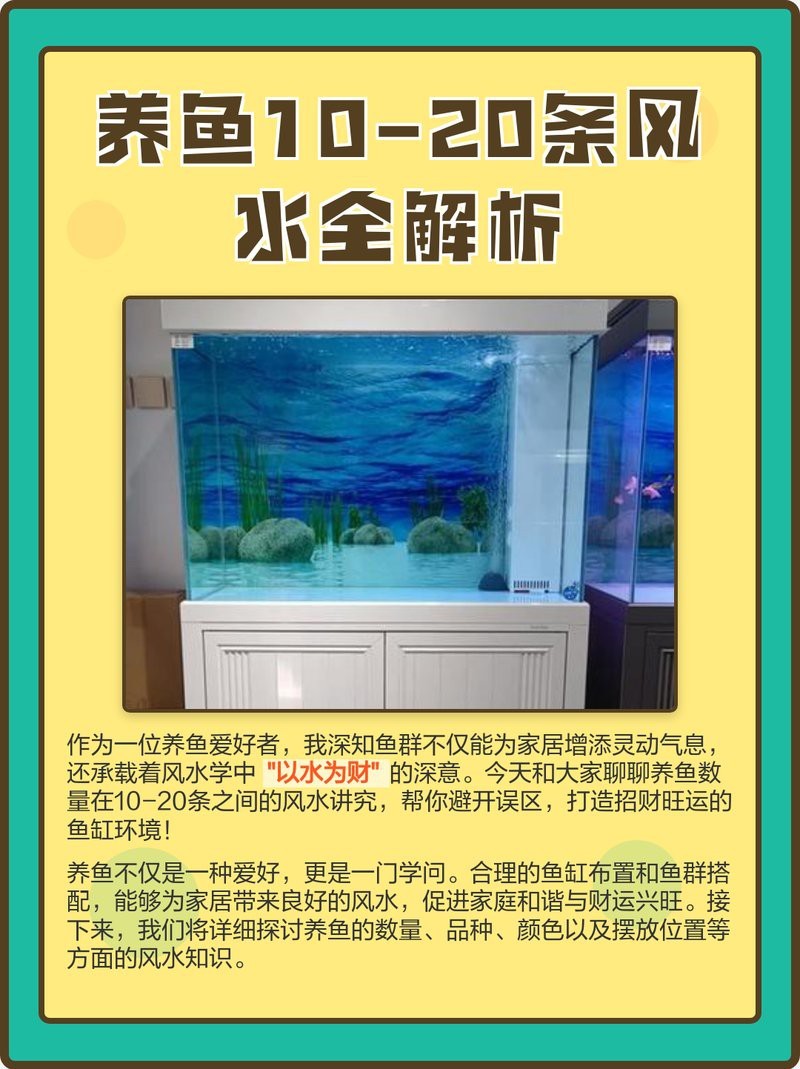 屬狗人養魚大忌