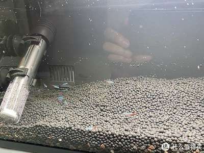小米魚缸客服電話人工服務：小米魚缸客服電話