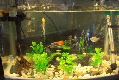 魚缸風水布局的最佳位置：魚缸風水布局的最佳位置是魚缸不宜放置在臥室內