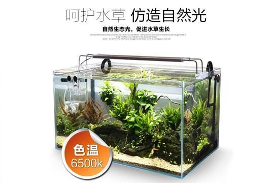 加盟觀賞魚缸店需要考慮哪些問題：加盟一家觀賞魚缸店你可以參考以下幾個品牌加盟品牌
